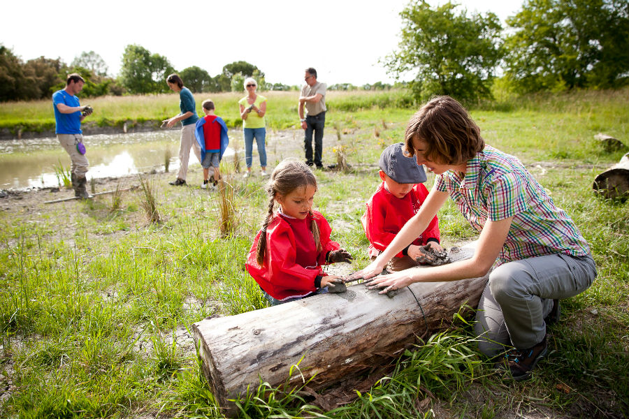 Éducation à l'environnement 1