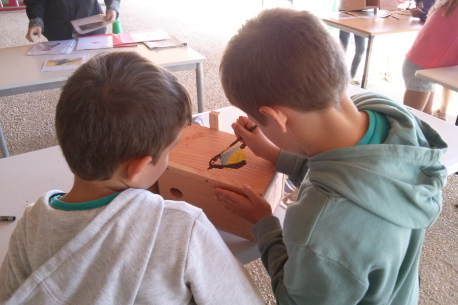 Éducation à l'environnement 3