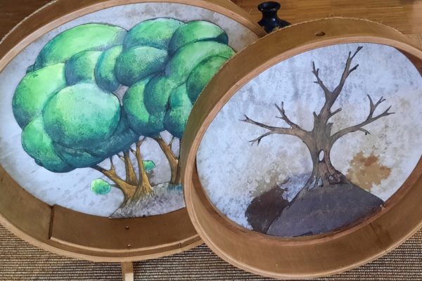 Spectacle Petit Arbre