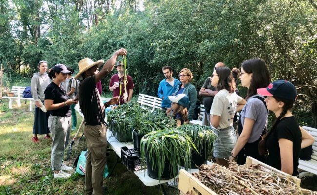 Chantiers participatifs