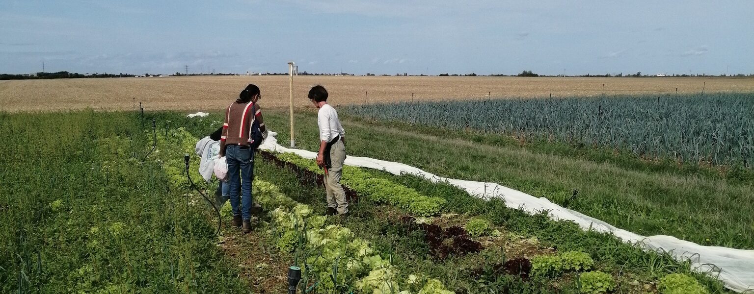 Projet alimentaire de territoire 4