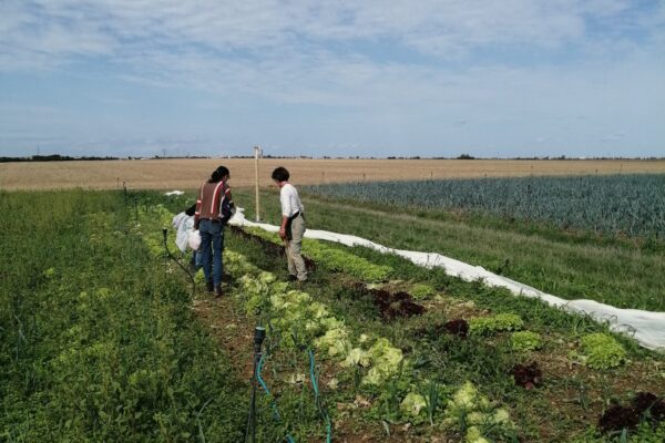 Projet alimentaire de territoire 4