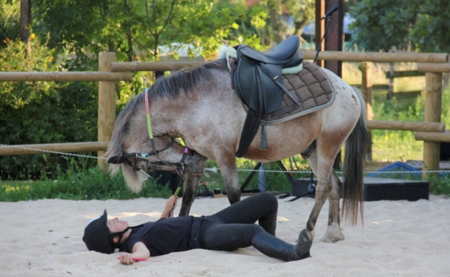 Théâtre : ChevalEs