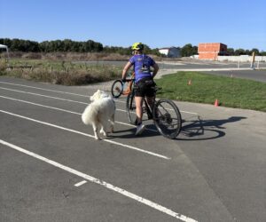 Forum des associations : retour en images ! 4