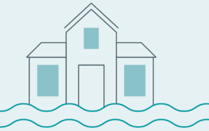 Maraisilience : un programme pour l’avenir du Marais poitevin 4