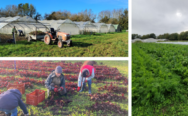 Chantier participatif 4