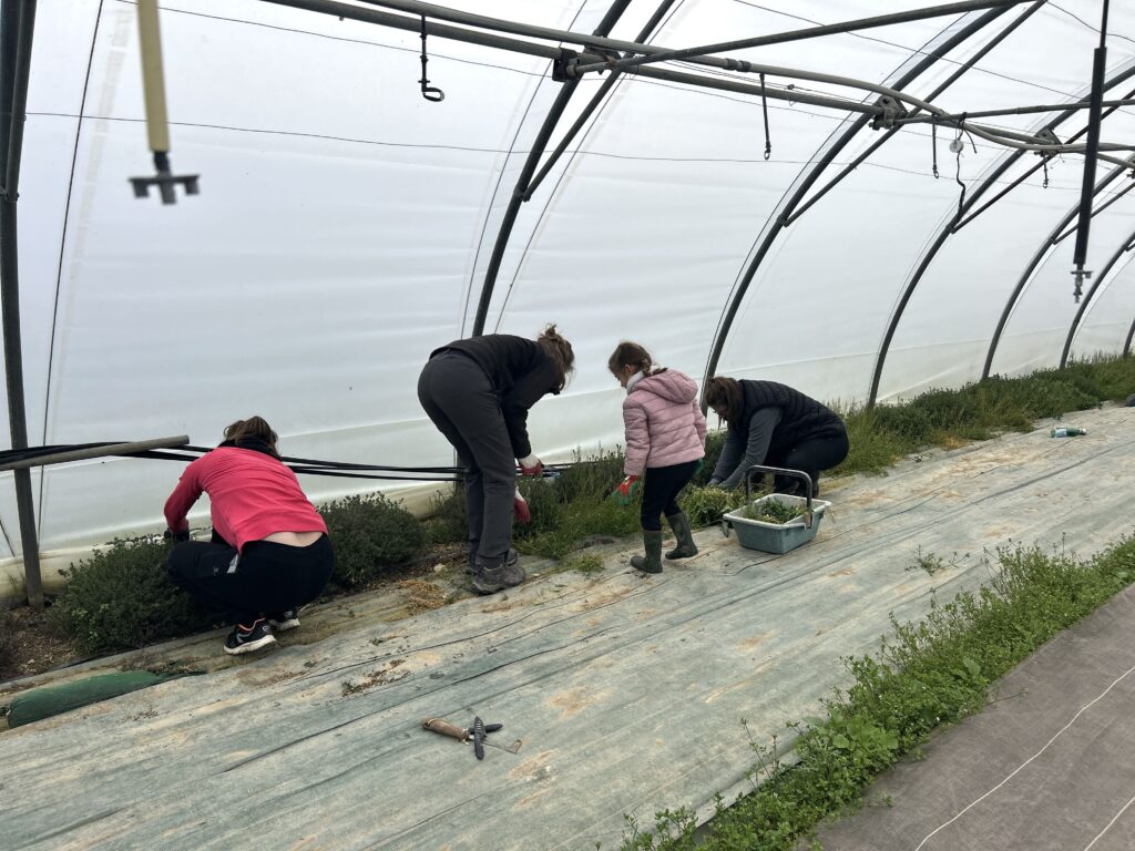 Chantiers participatifs 1