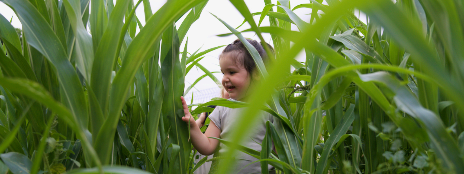 La bulle verte, késako ?