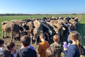 Visites de fermes Visites de fermes
